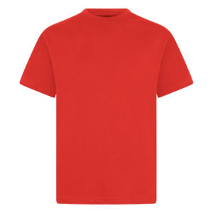 CREW NECK T-SHIRT - RED, PE Polos and T-Shirts, Newbury Park Primary School